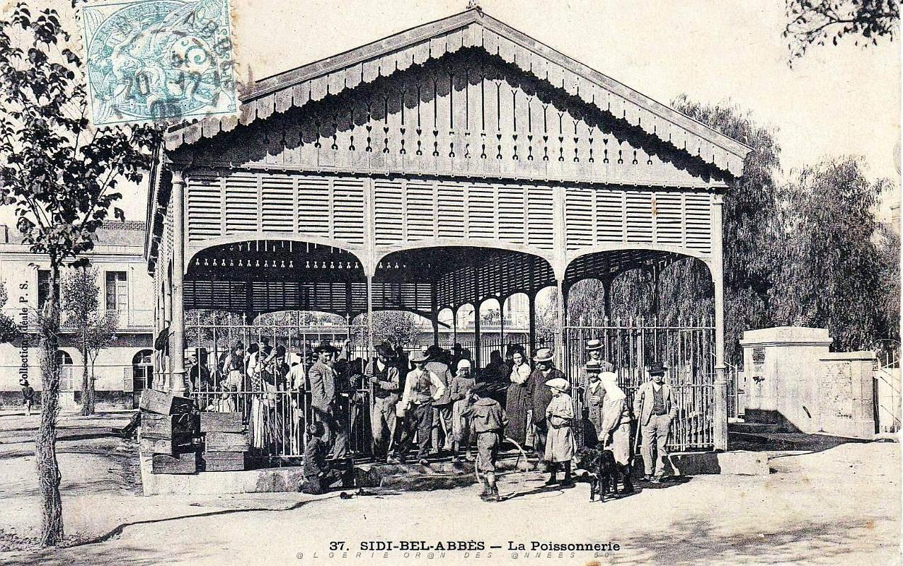 406- Sidi-bel-Abbes - La poissonnerie.jpg